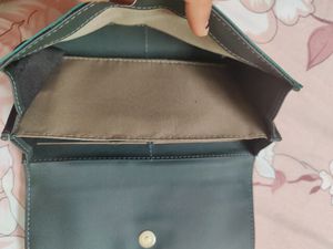 Baggit Wallet Green