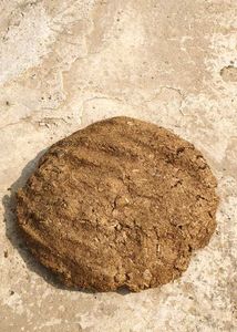 Cow Dung