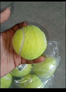 Cricket Tennis Ball Pack Of 5