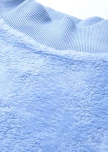 Cozy Blue Plush Pullover