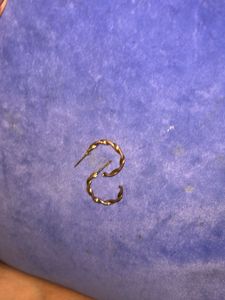 Twisted Hoop Earrings