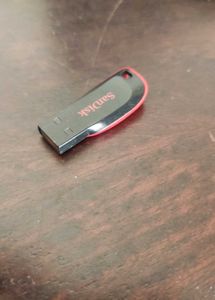 SanDisk USB Flash Drive