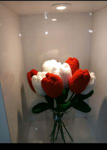 Any One Tulip For 99/- 🌷