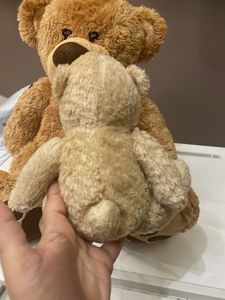 Combo Of Teddy Bear 🧸