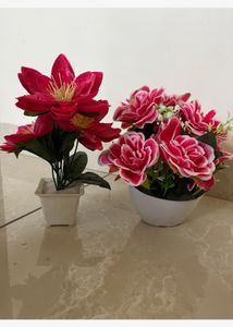 Set Of 5 Artificial Plants