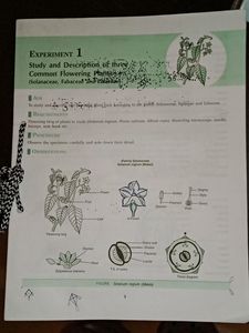 Biology Experiments Class 11