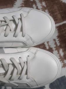 White Casual Sneakers