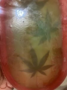 Resin Tray with Maple Leaves