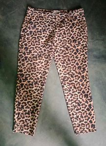Zara Leopard Print  Pants