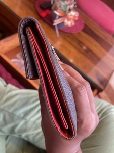 Baggit Purse