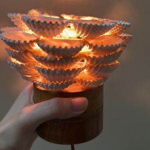 Shell Lamp