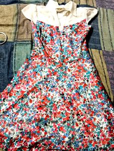 Colourful Net Cotton Collar Frock