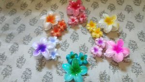Colorful Flower Hair Clip Set (1big 2small)
