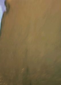 2 Saree with Two Strich Blouse