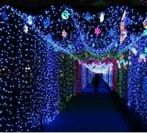 10Mtr Diwali Rice Lights For Decoration11