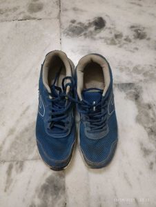 Navy Blue Sports Shoes