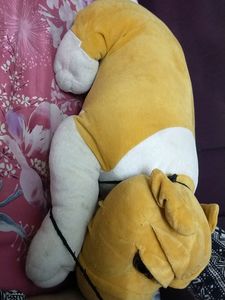 Dog Smooth Toy