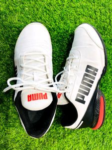 PUMA