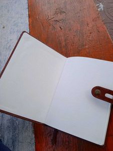 Dairy/ Journal