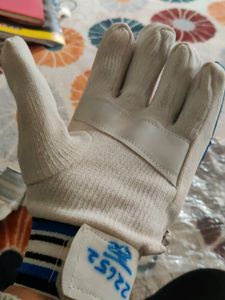 Cricket Hand Gloves