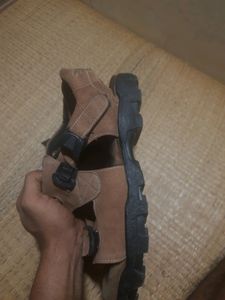 Staffy Sandal (Tan Colour)