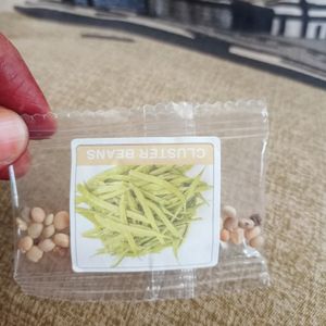 Variety Of Beans Seeds