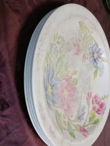 Four Melamine Plate