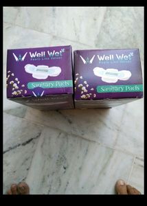 Wellwet Pads 2 Box