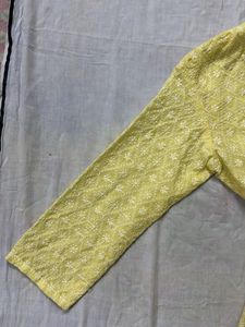 Beautiful Chikankari Patterned Kurti