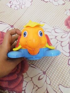 Musical Tortoise