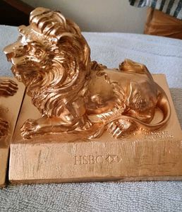 Dubai Lions