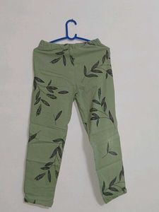 Cute Green Floral pant top and shrug