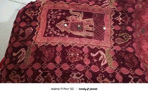 Patola Hand Work Saree