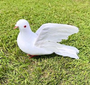 Simulation Foam White Feather Dove Pigeon