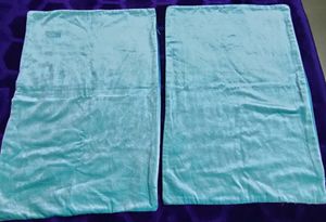 Velvet Pillow Cover(2)