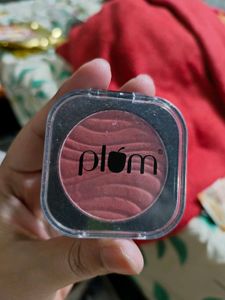 Plum Blush Shade 123 One In A Melon