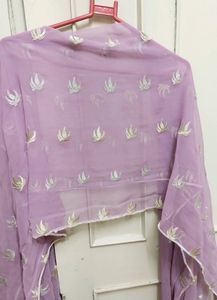 Combo Of 2 Pakistani Suit Set