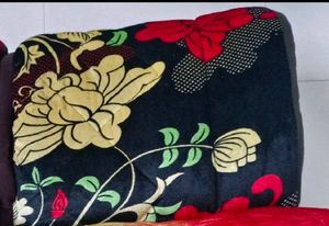 Blanket