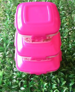 3 In One Combo Container/ Large , Medium, Small