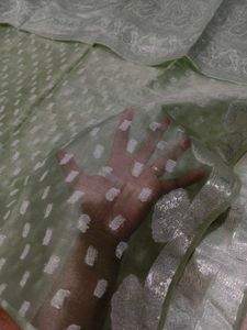 Mint Green Organza saree