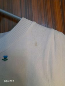 White Crop Top Korean Blue Embroidery