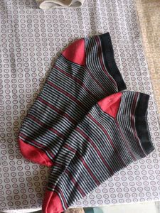 Combo Pack Of 3 Colourful Socks