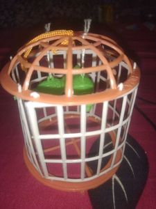 Toy Pinjra(6 Piss/Random Colour)😇