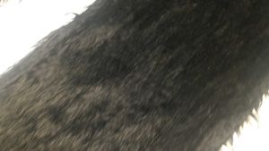 Black Muffler