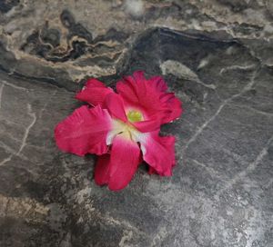 Elegant Pink Flower Hair Claw Clip
