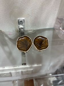 Brownish Earrings