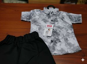 Boys Shirt &amp; Shorts Set