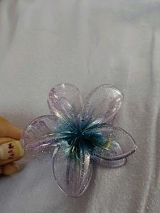 butterfly purple