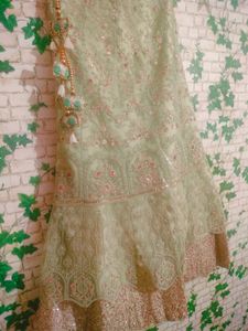 New Lehenga Choli Set