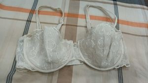 Light Pad Cotton And Net Bra 34D